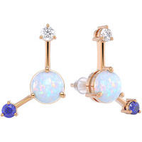 Earrings with opal, gold 375